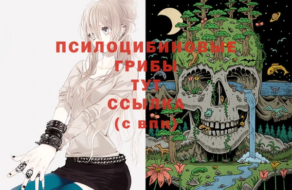 соль курить ск Богородск
