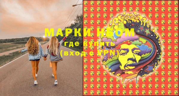 дурь Богданович