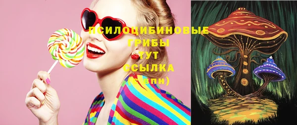 дурь Богданович