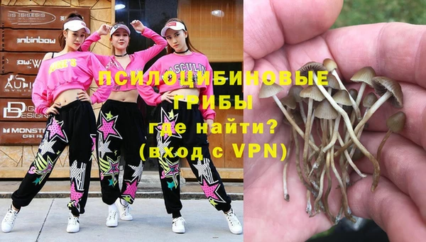 гашиш Богородицк