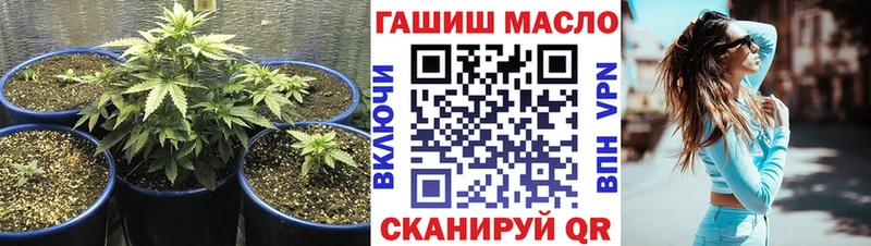 МЕГА как зайти  Мезень  площадка клад  ТГК концентрат 