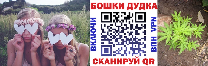 Канабис сатива Мезень
